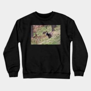 Wild goat Crewneck Sweatshirt